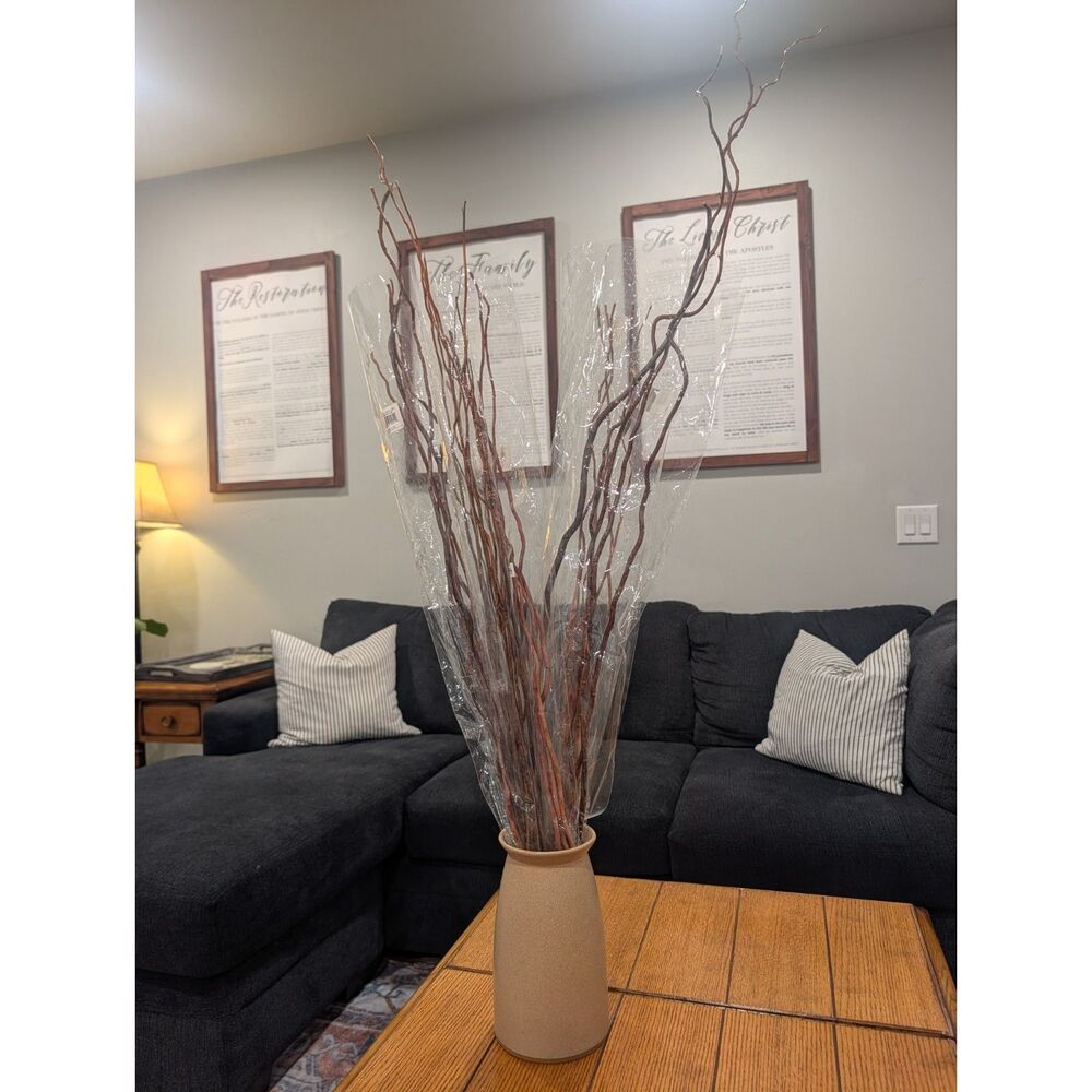 Dried Curly Willow Branches Lot of 3 Bundles Natural Rustic Floral Decor Stems